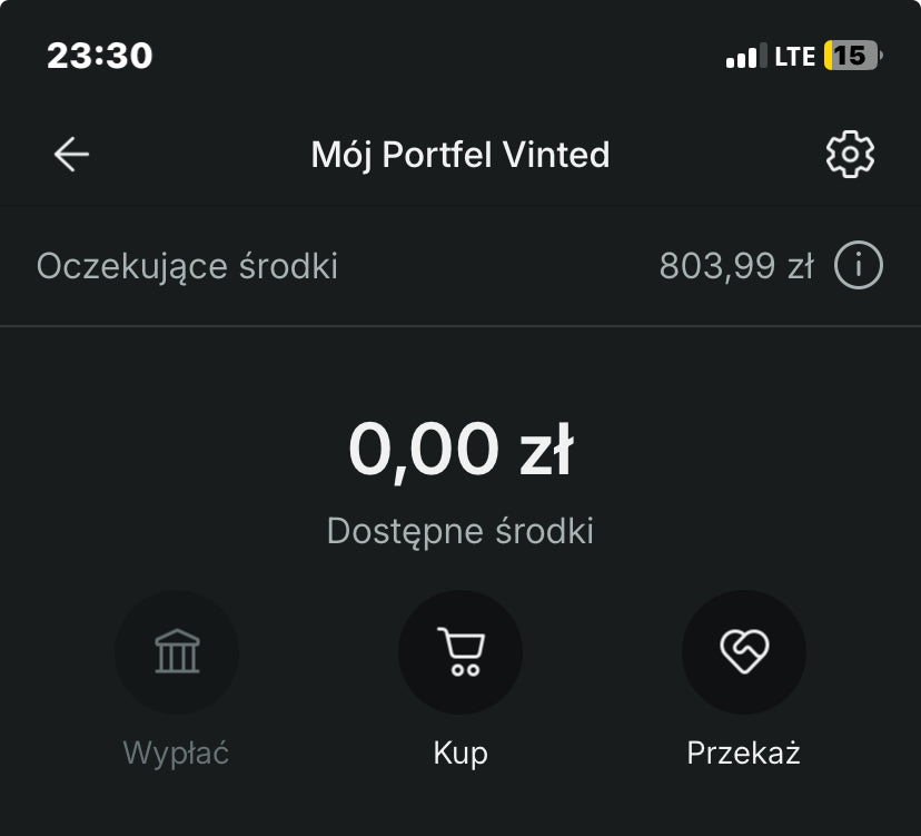 Portfel Vinted — 344 zł